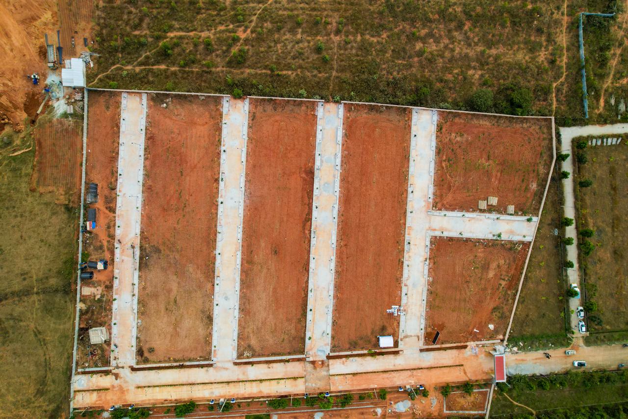 Project Layout