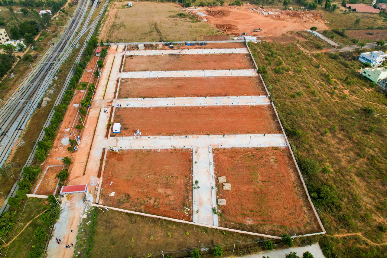 Project Layout