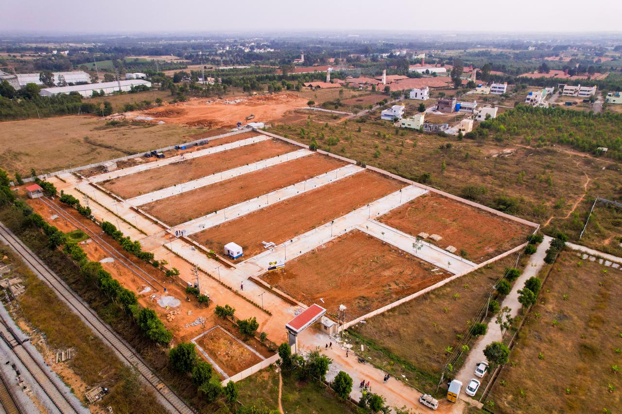 Project Layout